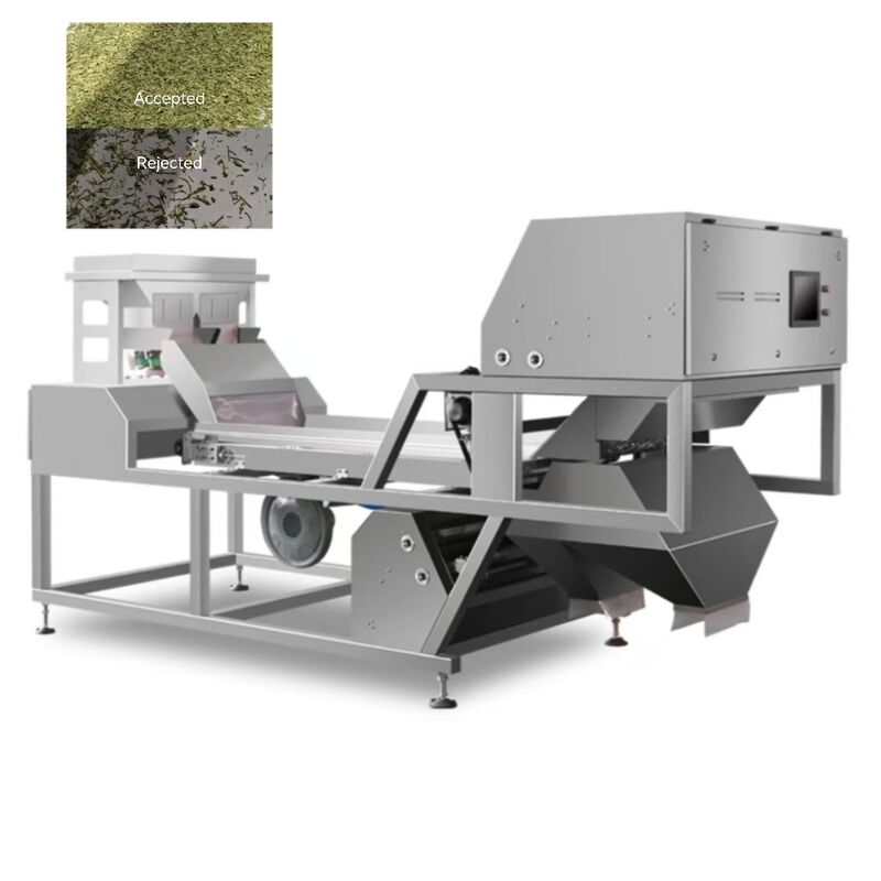 AI Belt Type Basil Color Sorter cho thảo mộc khô và gia vị.