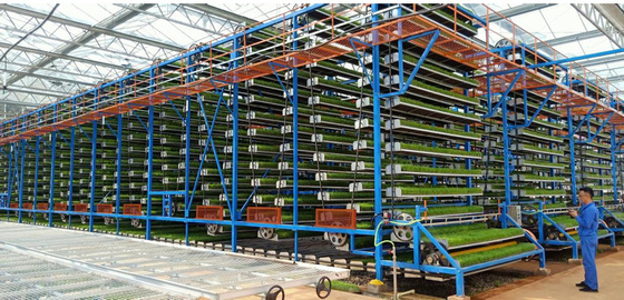 W-Frame lên lưu thông cây trồng rau trồng máy trồng cho nông nghiệp dọc