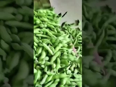 Trình phân loại màu Edamame