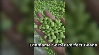 Máy phân loại màu Edamame loại 180 Crawler -Công suất cao & Độ vỡ thấp.