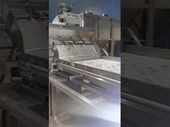 Máy phân loại màu hạt điều kiểu đai hai lớp.