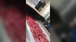 Hai máy phân loại màu ớt được theo dõi