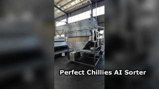 Máy phân loại màu kiểu đai