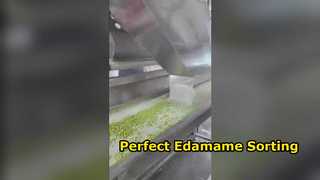 Máy phân loại màu Edamame loại 120 của trình thu thập thông tin