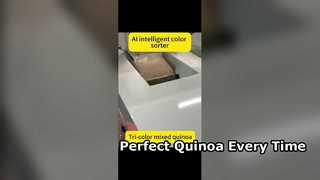 Máy phân loại màu hiệu quả cao cho Quinoa cao cấp