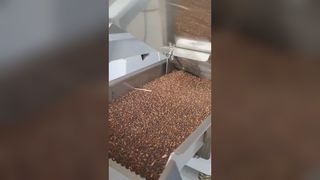 Máy phân loại màu hạt củ cải
