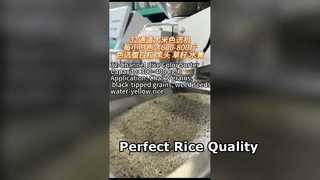 Máy phân loại màu gạo 32 kênh dành cho các nhà máy xay xát gạo vừa và nhỏ.